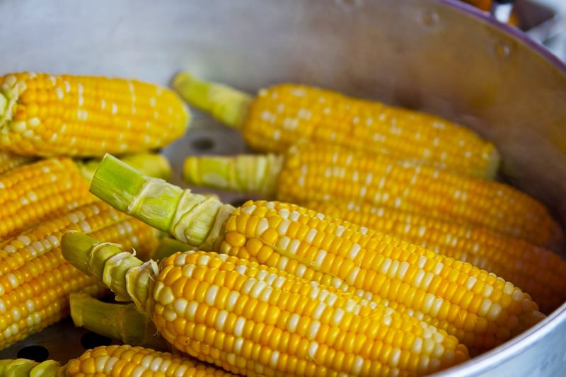 Ingredient Chronicles